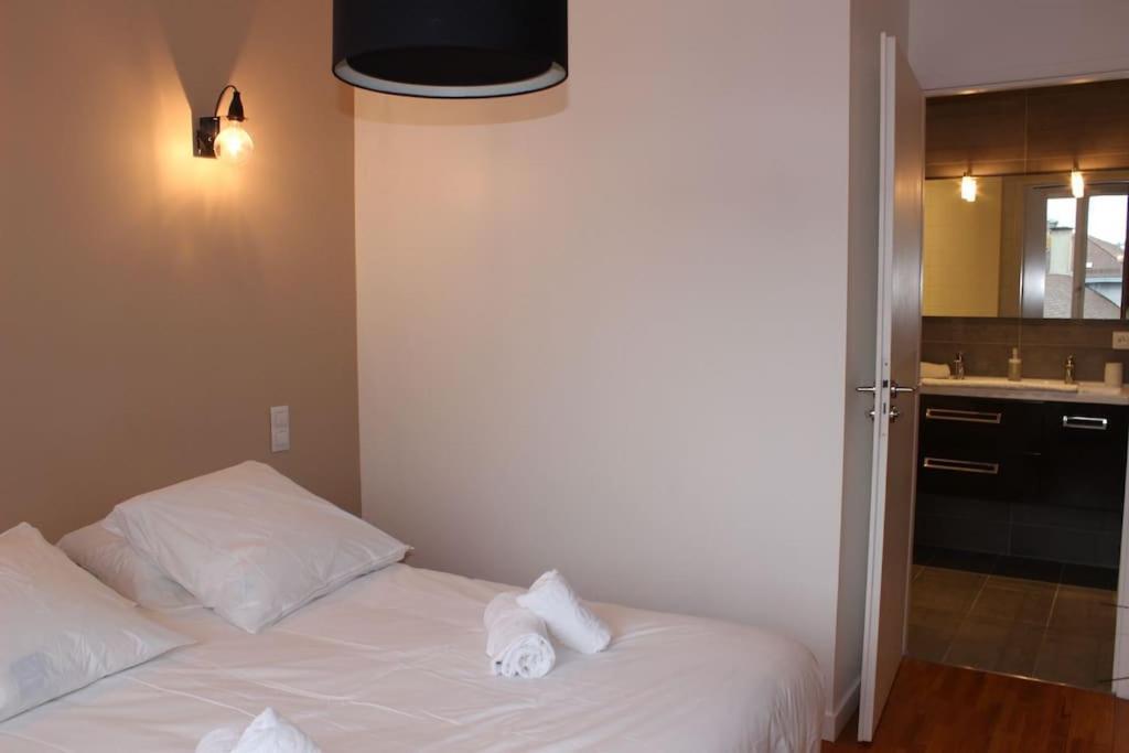 Le Jane : Centre Ville, Garage, Balcon Annecy Exterior photo